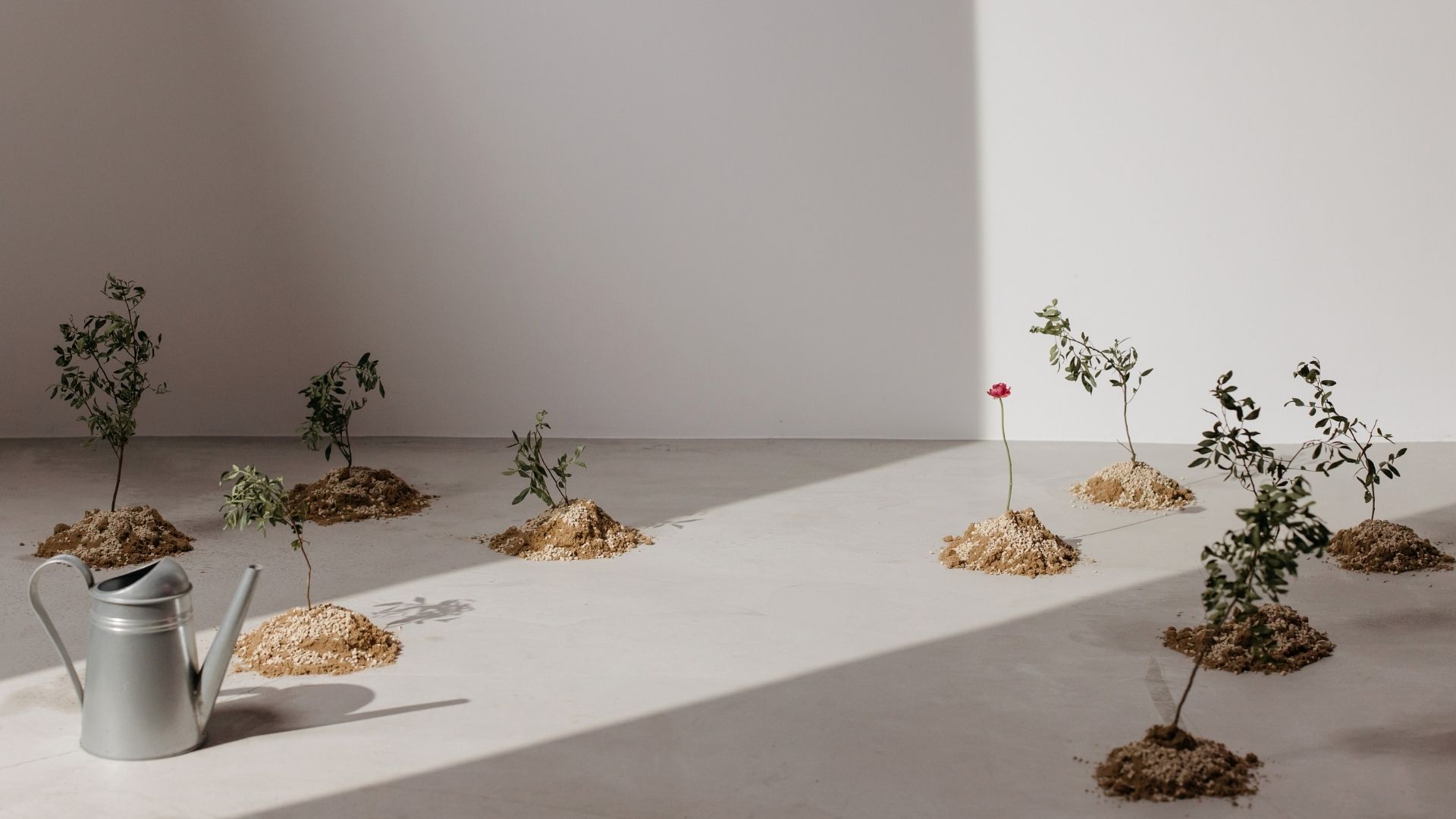 人が育ち、事業が育つ。
そこにWinが生まれる。
Win for All.